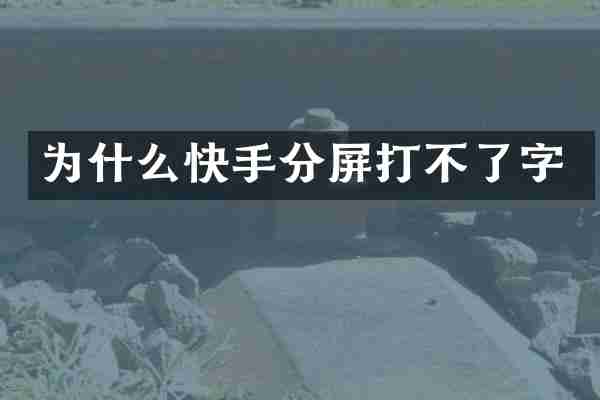 为什么快手分屏打不了字