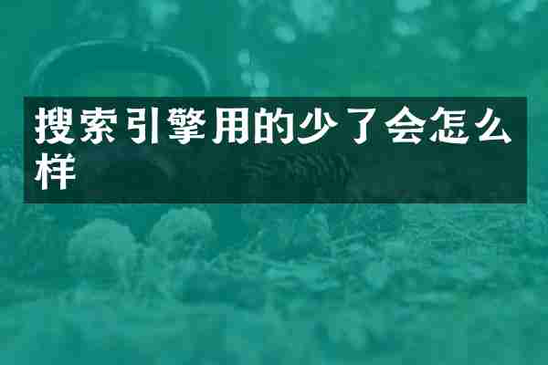 搜索引擎用的少了会怎么样