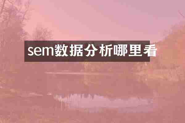 sem数据分析哪里看