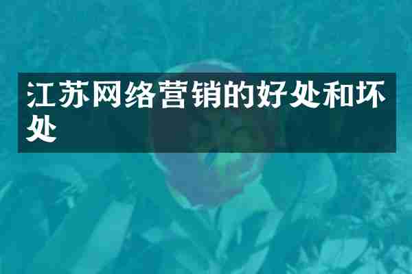 江苏网络营销的好处和坏处