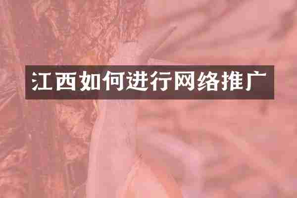 江西如何进行网络推广