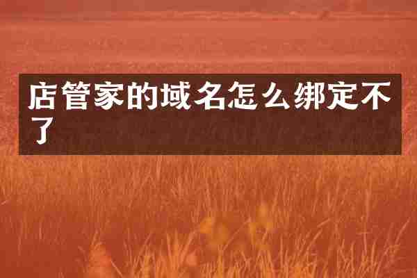 店管家的域名怎么绑定不了