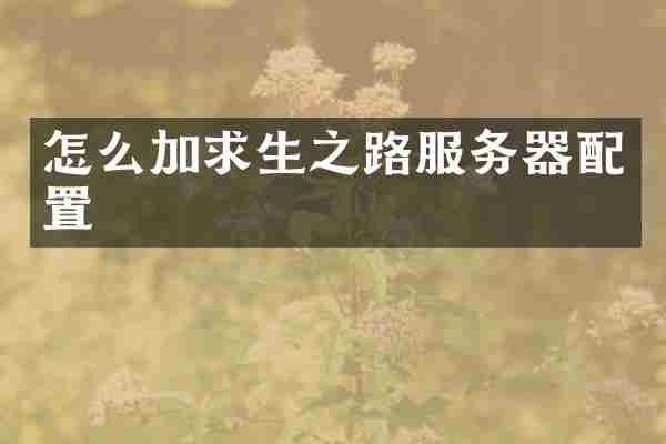 怎么加求生之路服务器配置