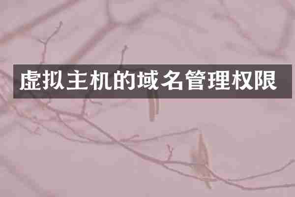 虚拟主机的域名管理权限