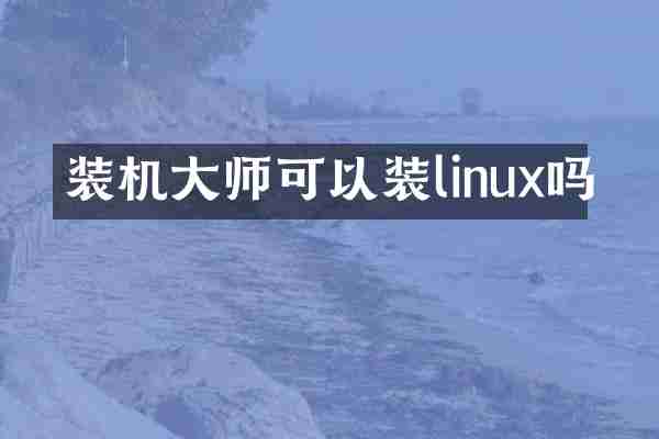 装机大师可以装linux吗