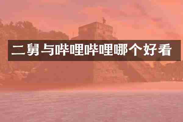 二舅与哔哩哔哩哪个好看