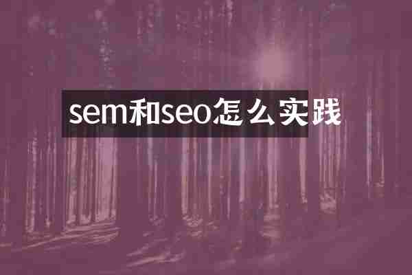 sem和seo怎么实践