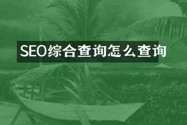SEO综合查询怎么查询