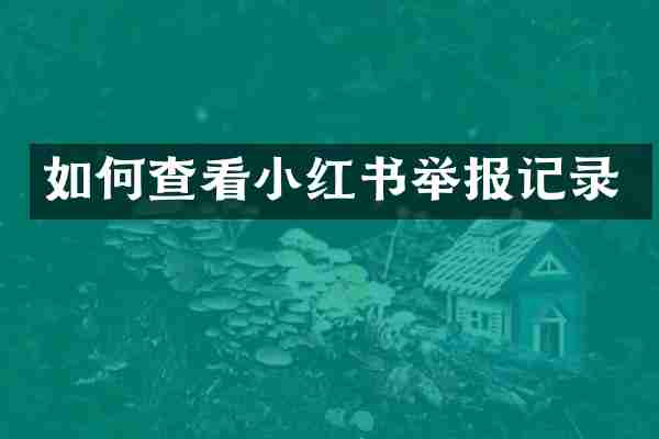 如何查看小红书举报记录