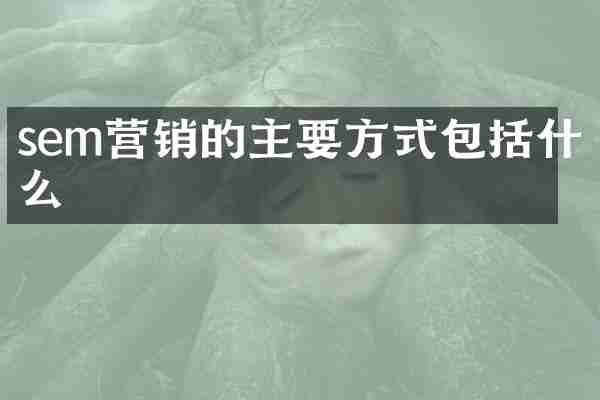 sem营销的主要方式包括什么