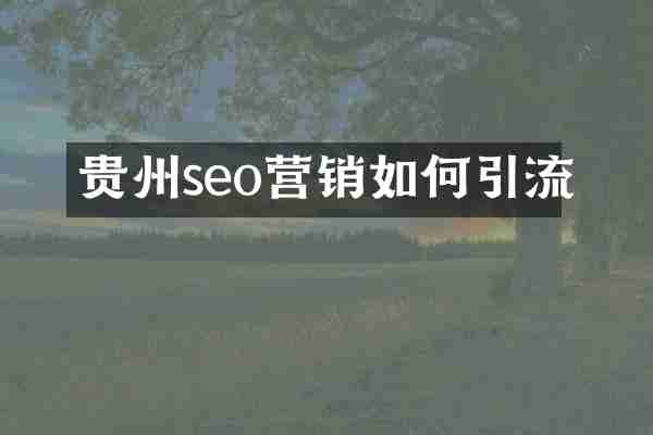 贵州seo营销如何引流