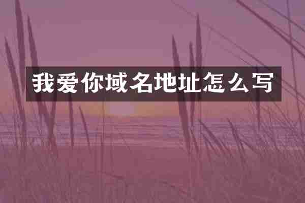 我爱你域名地址怎么写