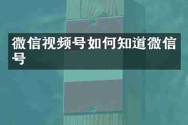 微信视频号如何知道微信号