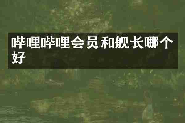哔哩哔哩会员和舰长哪个好
