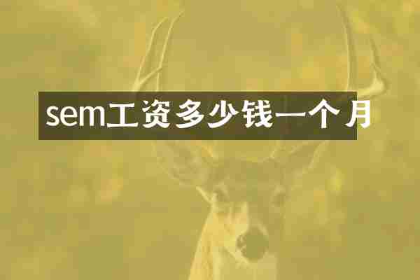 sem工资多少钱一个月