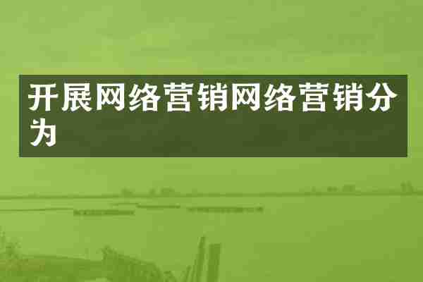 开展网络营销网络营销分为