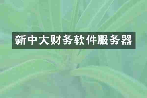 新中大财务软件服务器