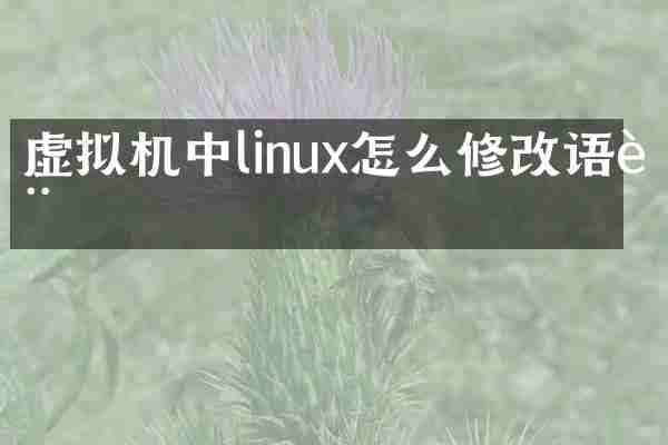 虚拟机中linux怎么修改语言
