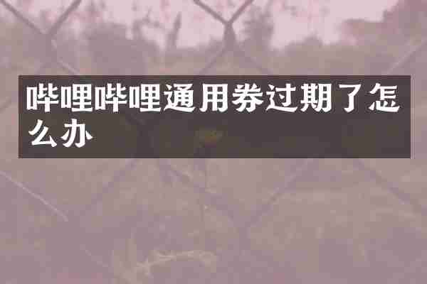 哔哩哔哩通用券过期了怎么办