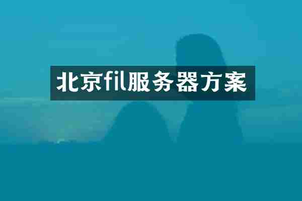 北京fil服务器方案