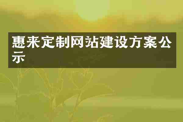 惠来定制网站建设方案公示