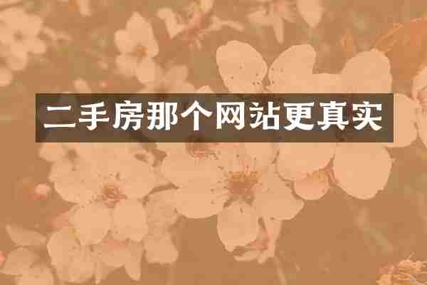 二手房那个网站更真实