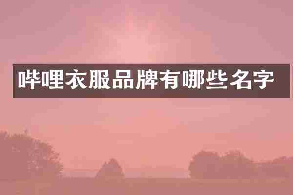 哔哩衣服品牌有哪些名字