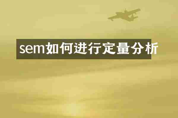 sem如何进行定量分析