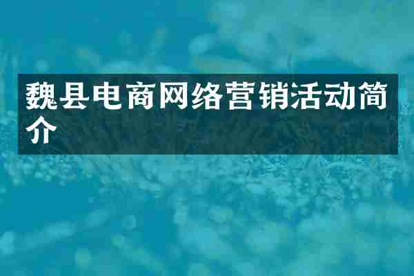 魏县电商网络营销活动简介
