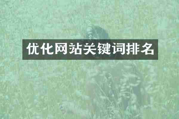 优化网站关键词排名