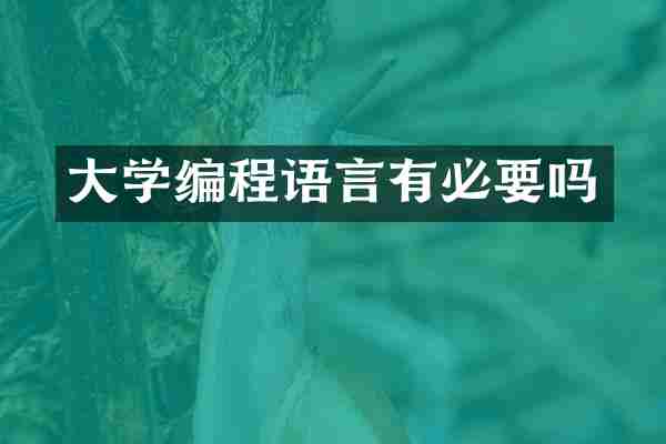 大学编程语言有必要吗