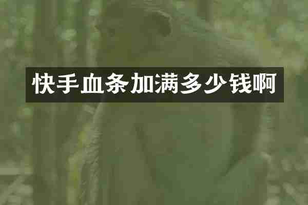 快手血条加满多少钱啊