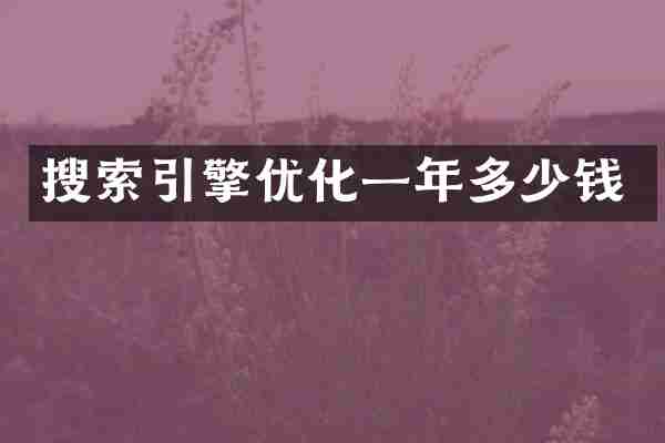 搜索引擎优化一年多少钱