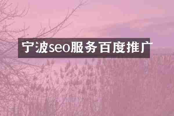 宁波seo服务百度推广