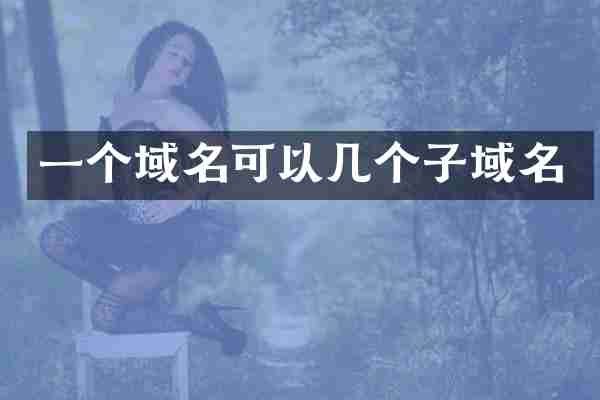 一个域名可以几个子域名