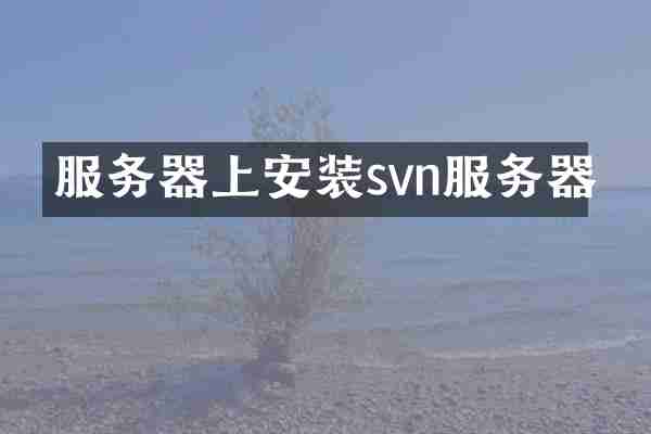 服务器上安装svn服务器
