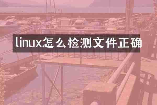 linux怎么检测文件正确
