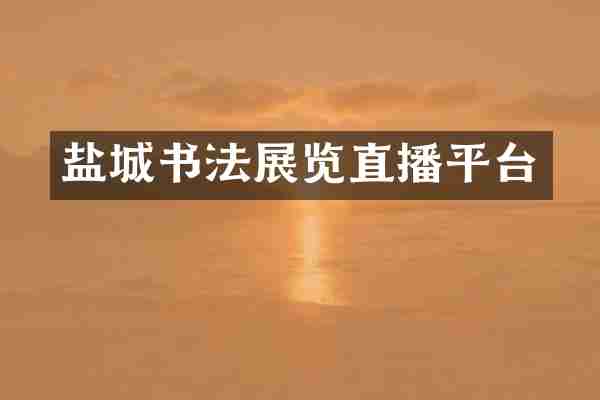 盐城书法展览直播平台