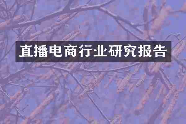 直播电商行业研究报告