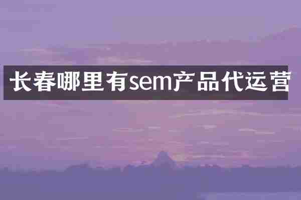 长春哪里有sem产品代运营