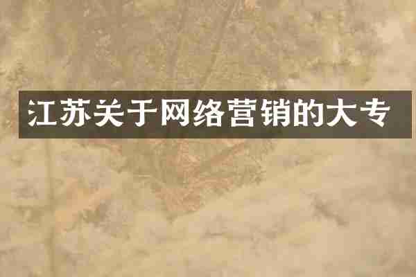 江苏关于网络营销的大专