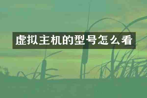 虚拟主机的型号怎么看