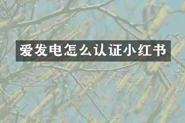 爱发电怎么认证小红书