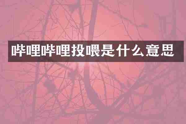 哔哩哔哩投喂是什么意思