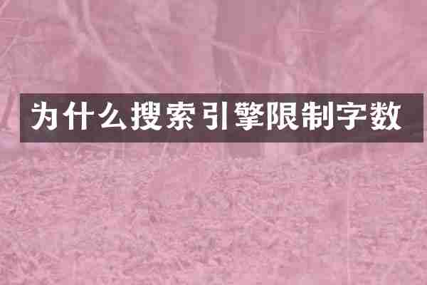为什么搜索引擎限制字数