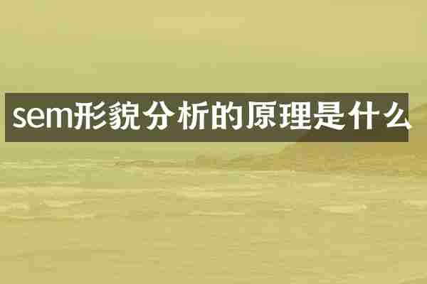 sem形貌分析的原理是什么