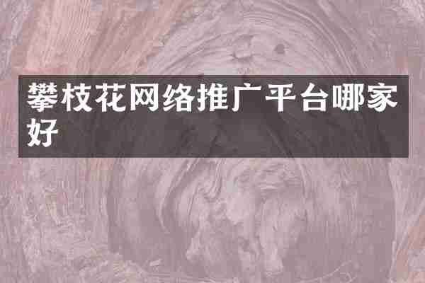 攀枝花网络推广平台哪家好