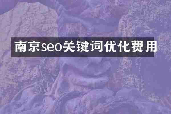 南京seo关键词优化费用