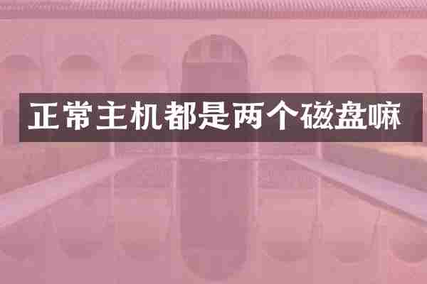 正常主机都是两个磁盘嘛