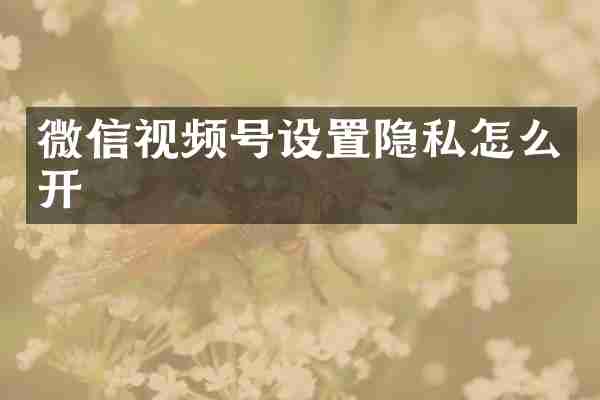 微信视频号设置隐私怎么开